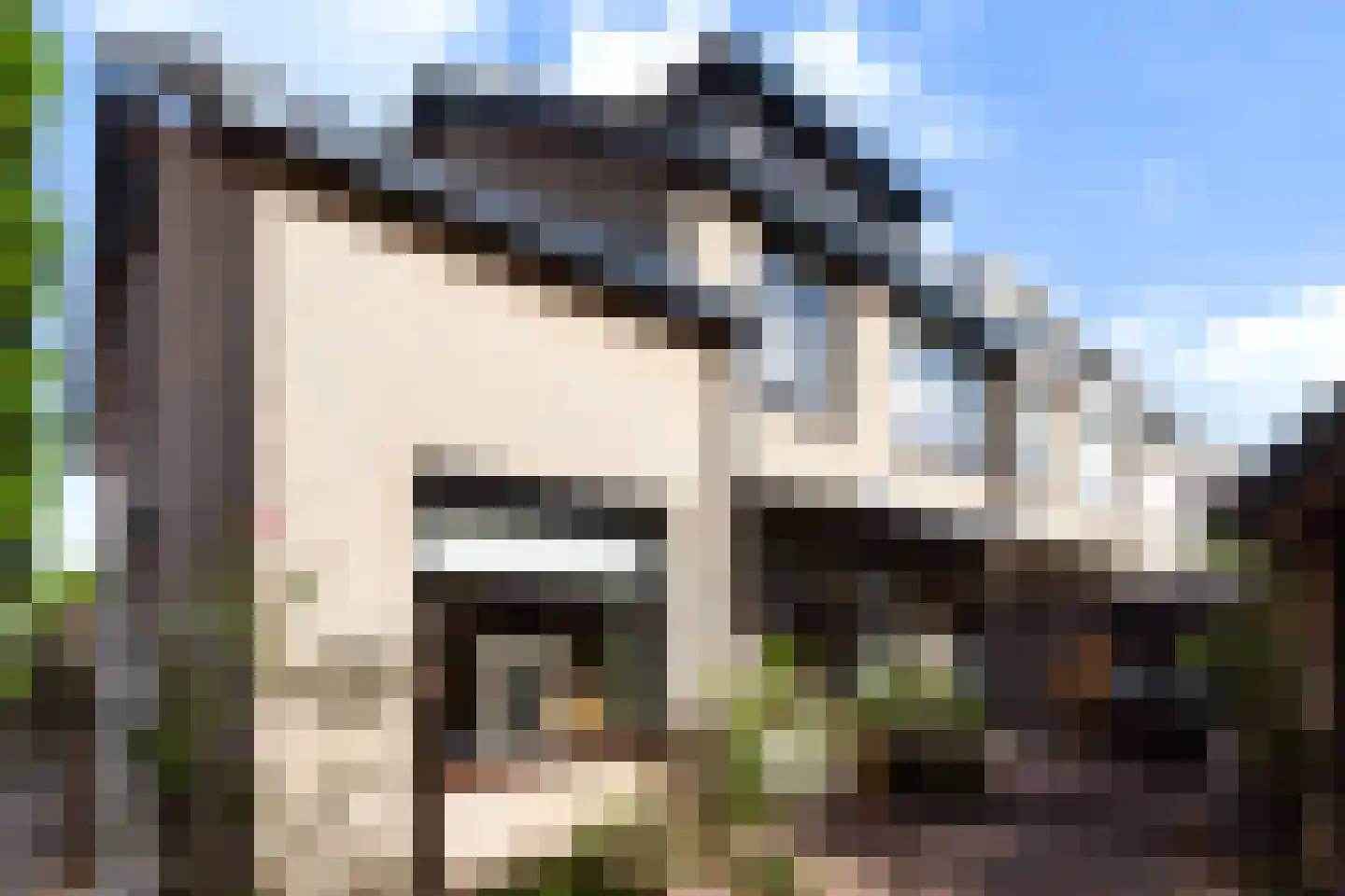 Vondellaan 79 Alblasserdam thumbnail 42