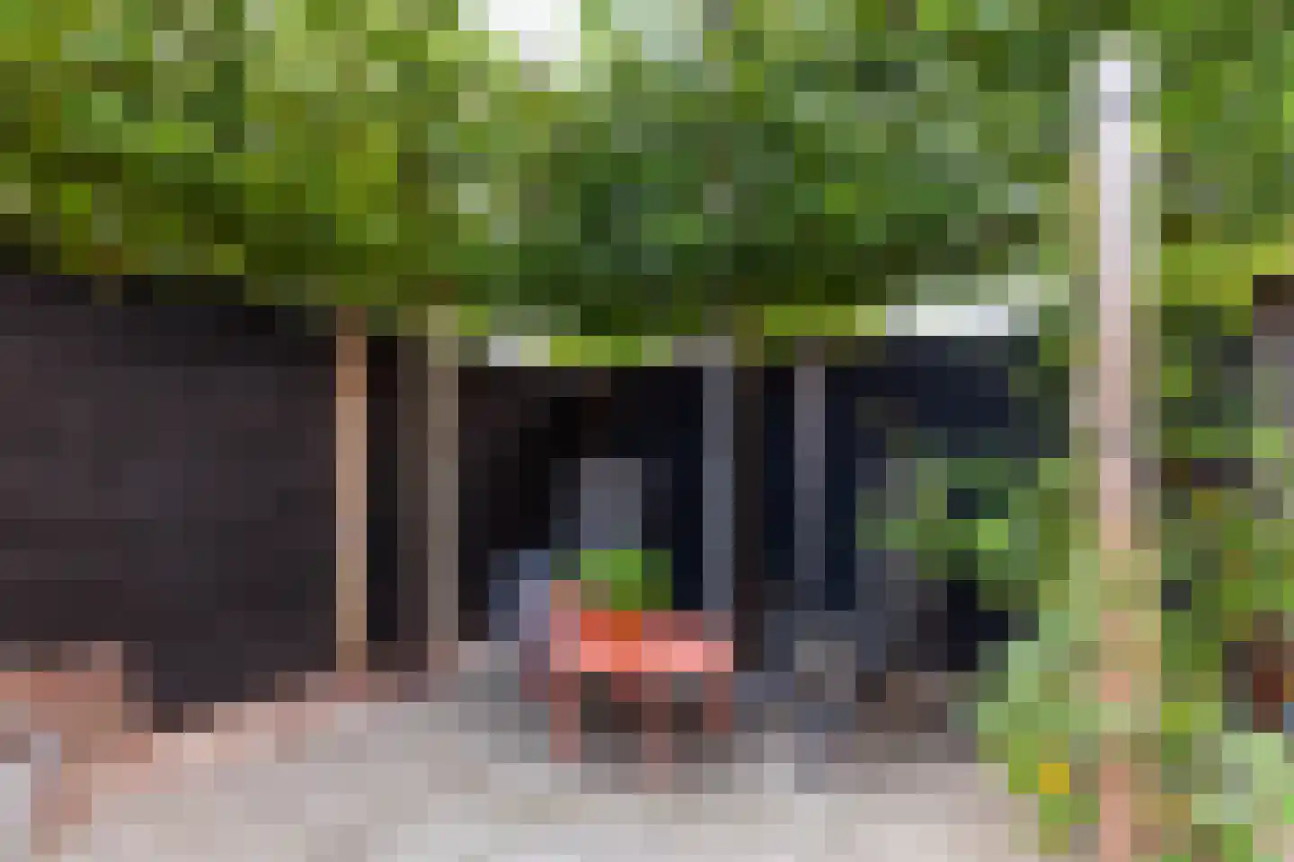 Vondellaan 79 Alblasserdam thumbnail 43