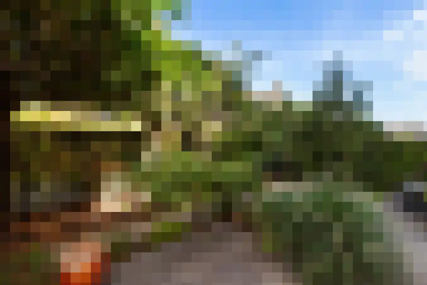 Vondellaan 79 Alblasserdam thumbnail 48