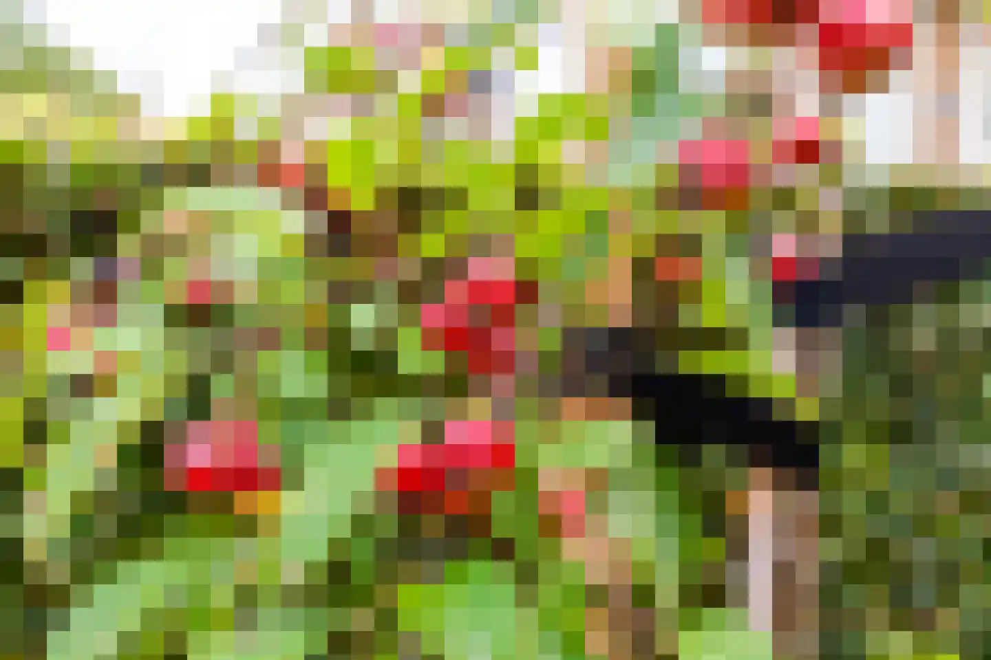 Vondellaan 79 Alblasserdam thumbnail 49