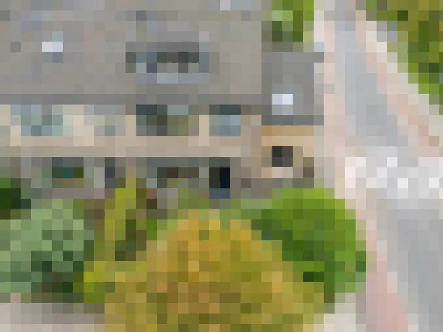 Vondellaan 79 Alblasserdam thumbnail 50