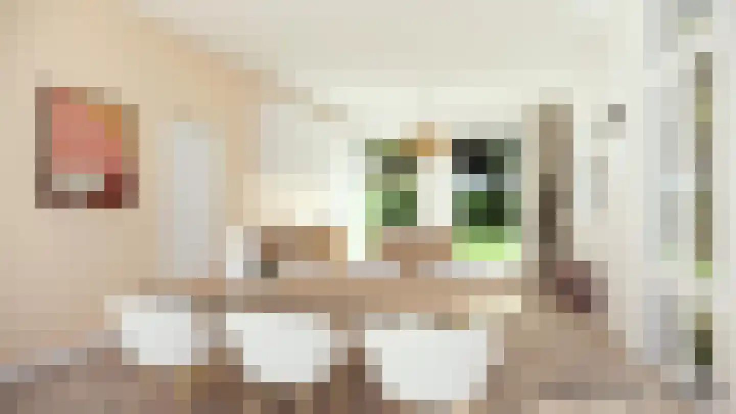 Vondellaan 8 Hilversum thumbnail 22