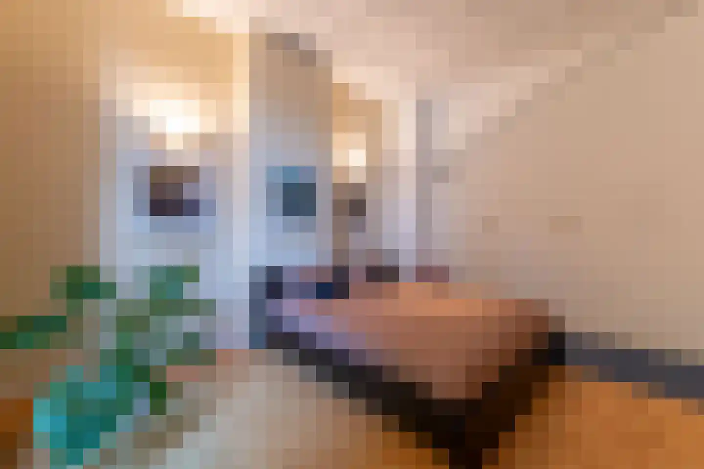 Vondellaan 8 Hilversum thumbnail 38