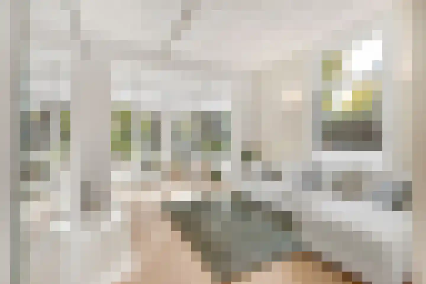 Vondellaan 8 Hilversum thumbnail 5