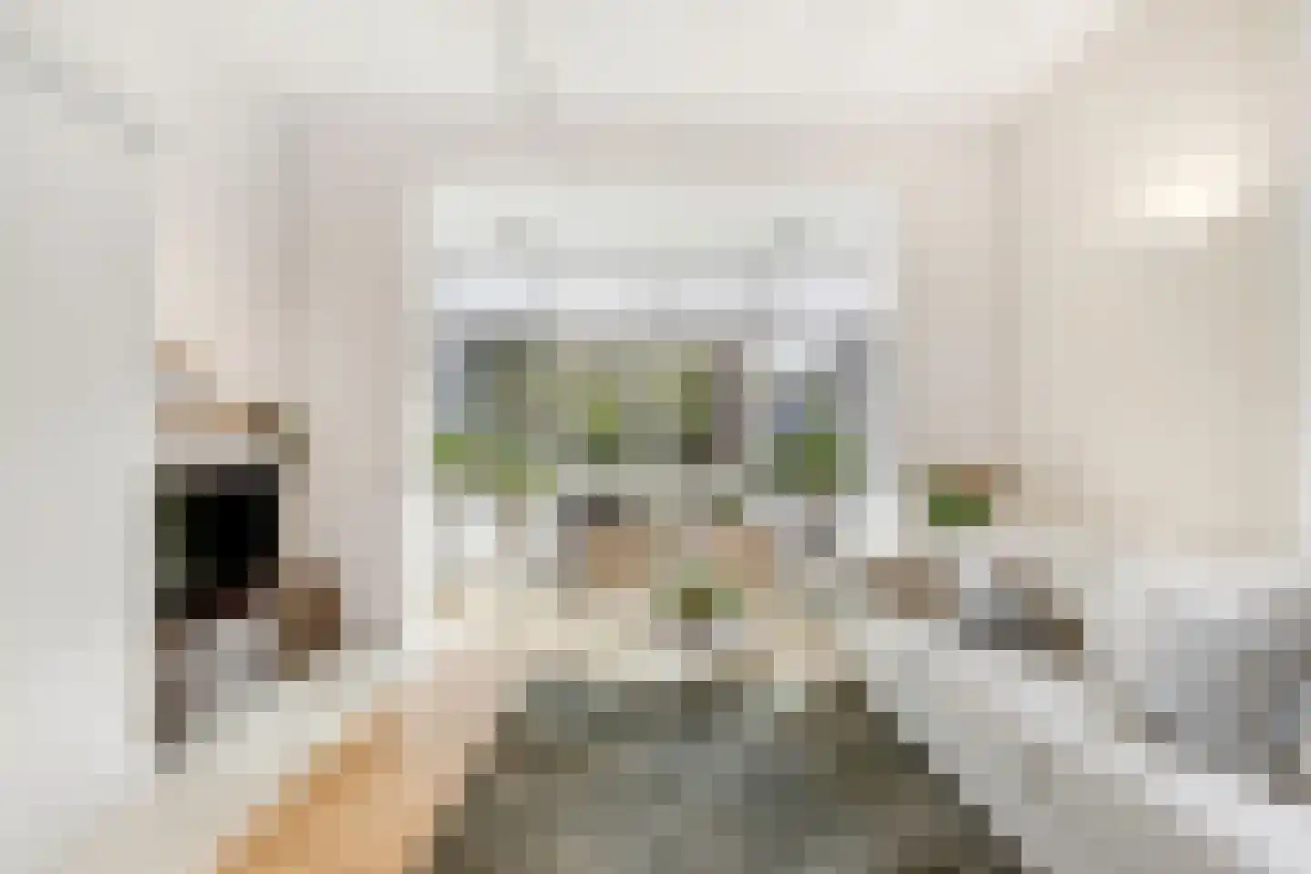 Vondellaan 8 Hilversum thumbnail 6