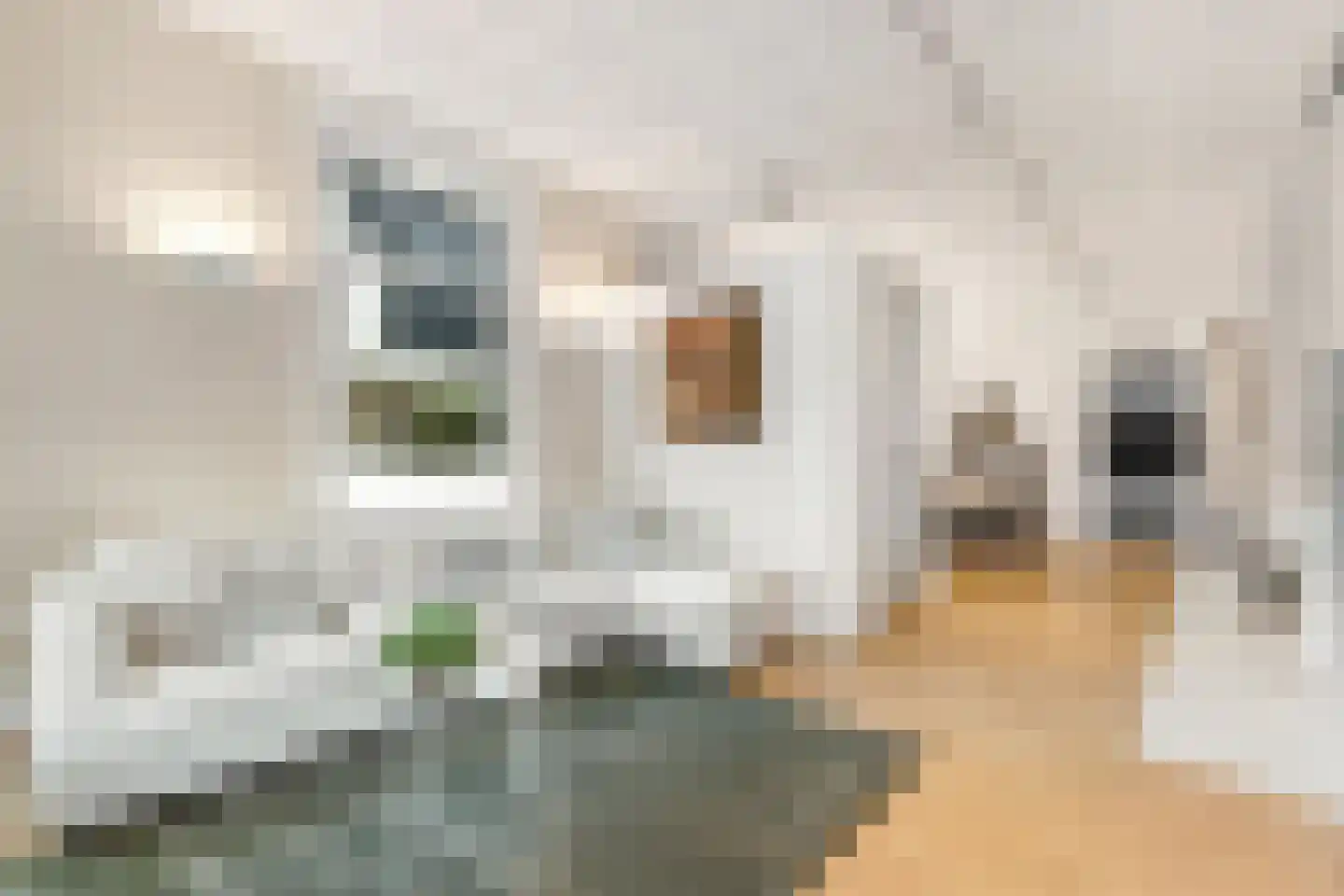 Vondellaan 8 Hilversum thumbnail 8