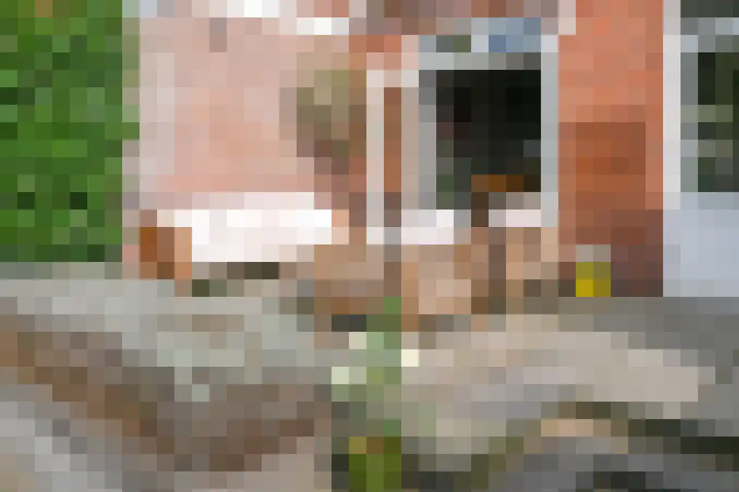 Vondellaan 80 Beverwijk thumbnail 20