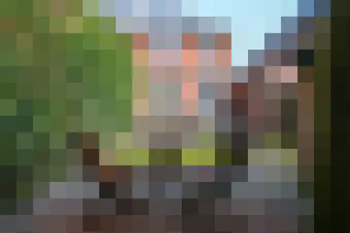 Vondellaan 80 Beverwijk thumbnail 22
