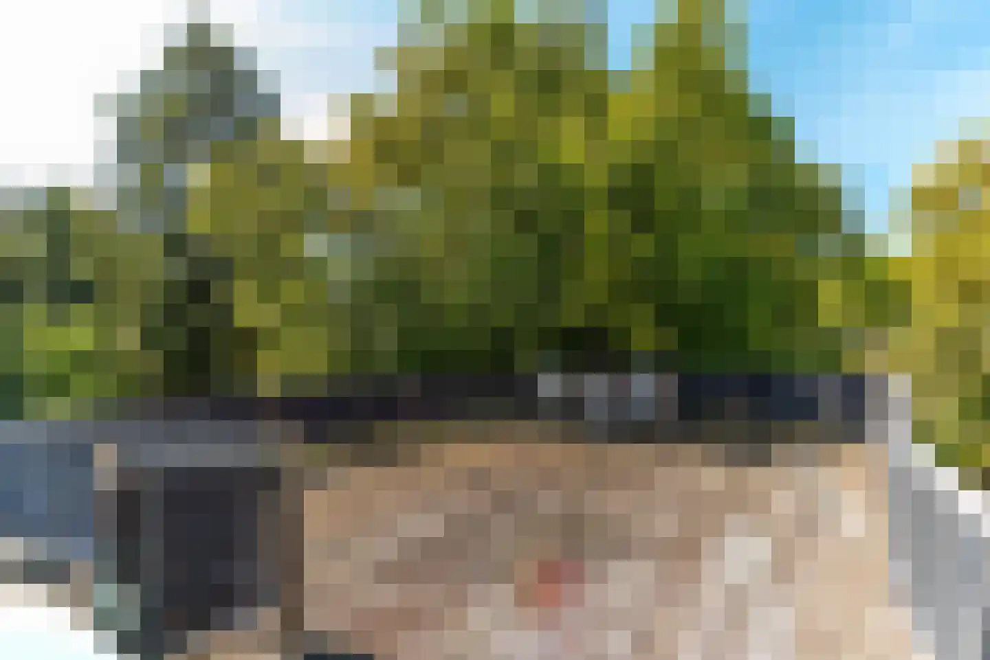 Vondellaan 9 Hilversum thumbnail 30