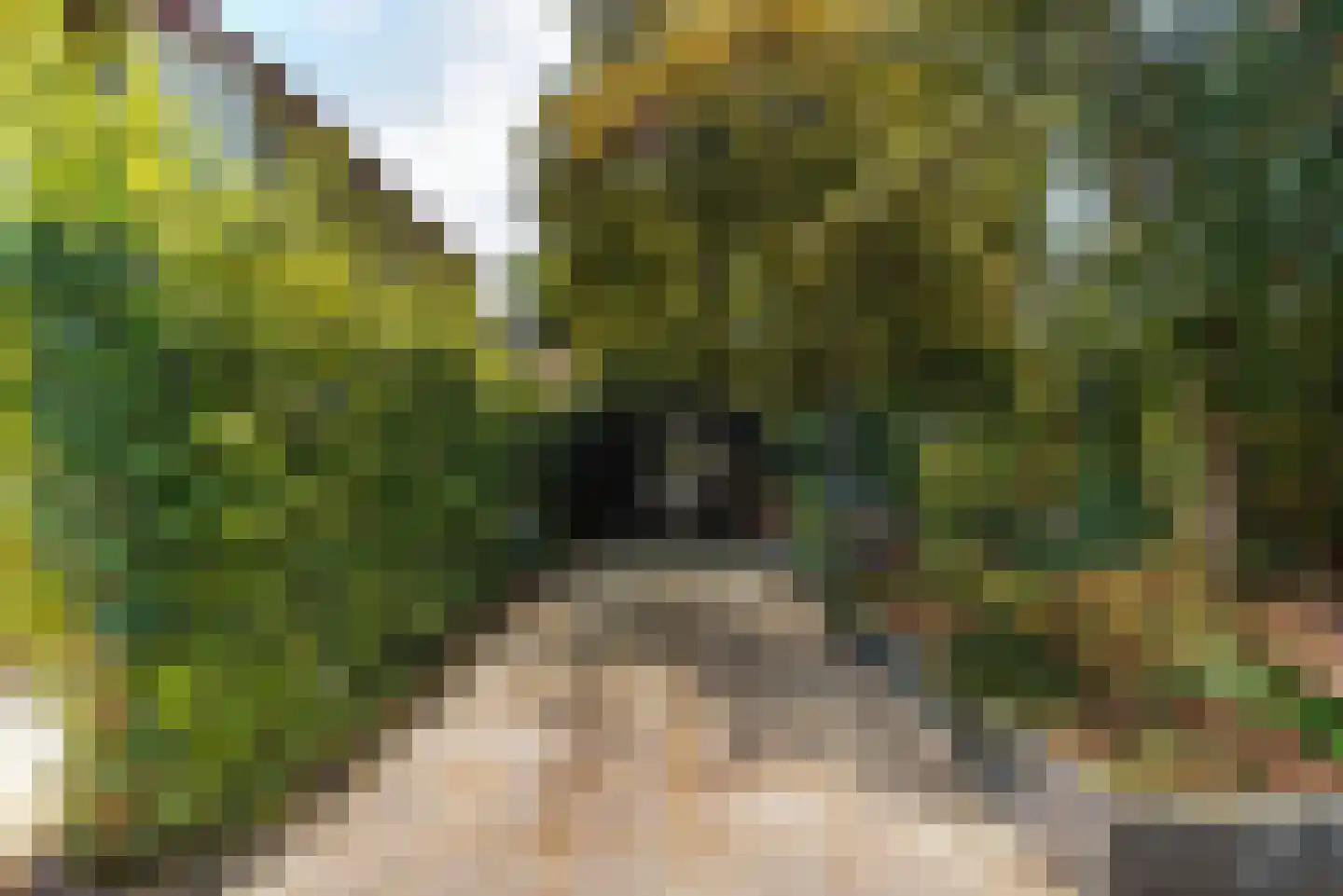 Vondellaan 9 Hilversum thumbnail 35