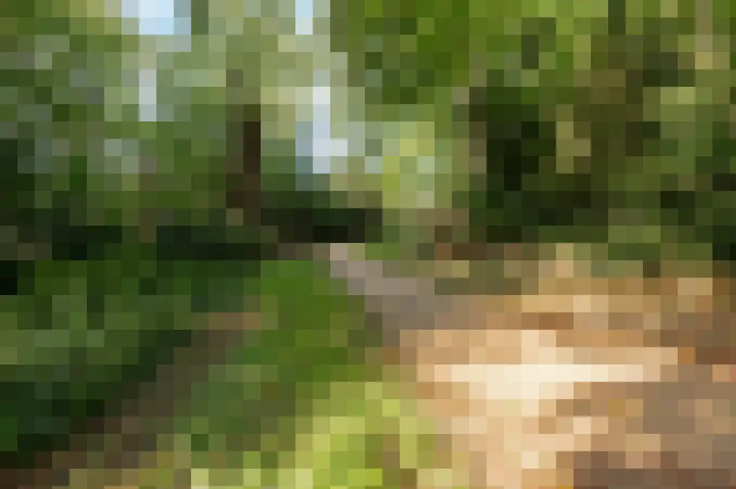 Vondellaan 9 Hilversum thumbnail 48