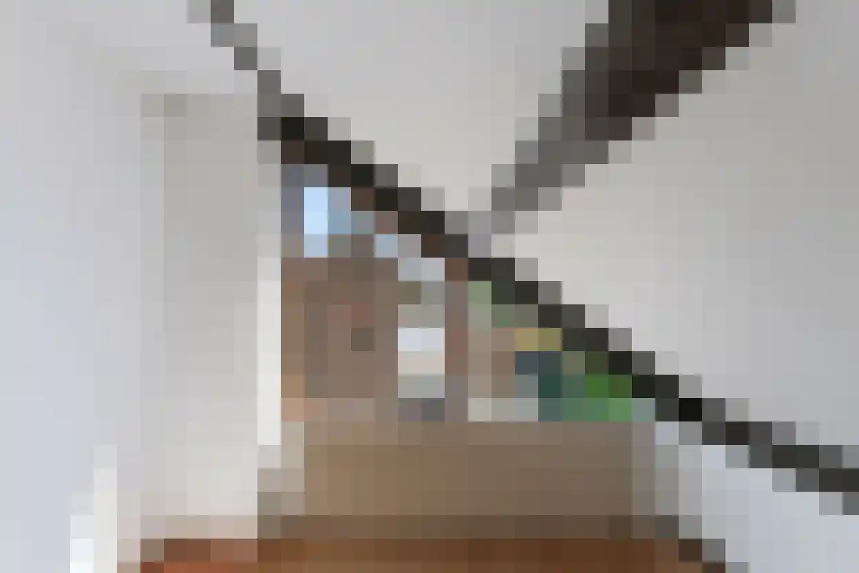Vondellaan 93 Zevenaar thumbnail 33