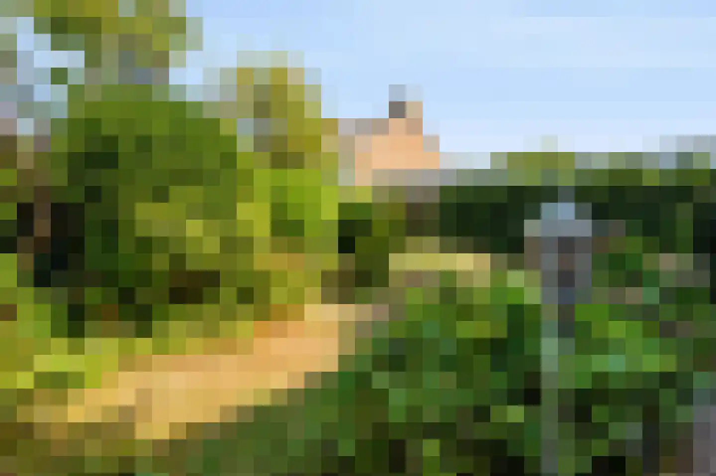 Vondellaan 93 Zevenaar thumbnail 35