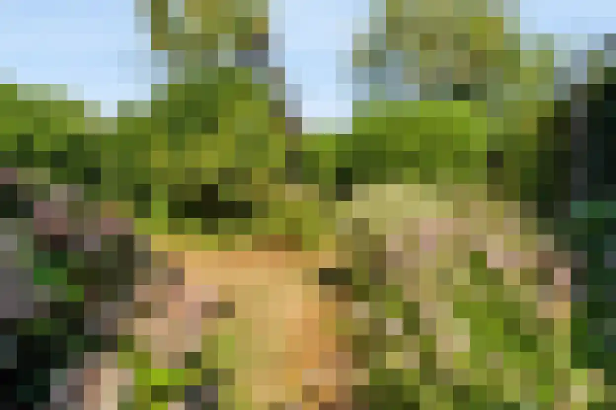 Vondellaan 93 Zevenaar thumbnail 37