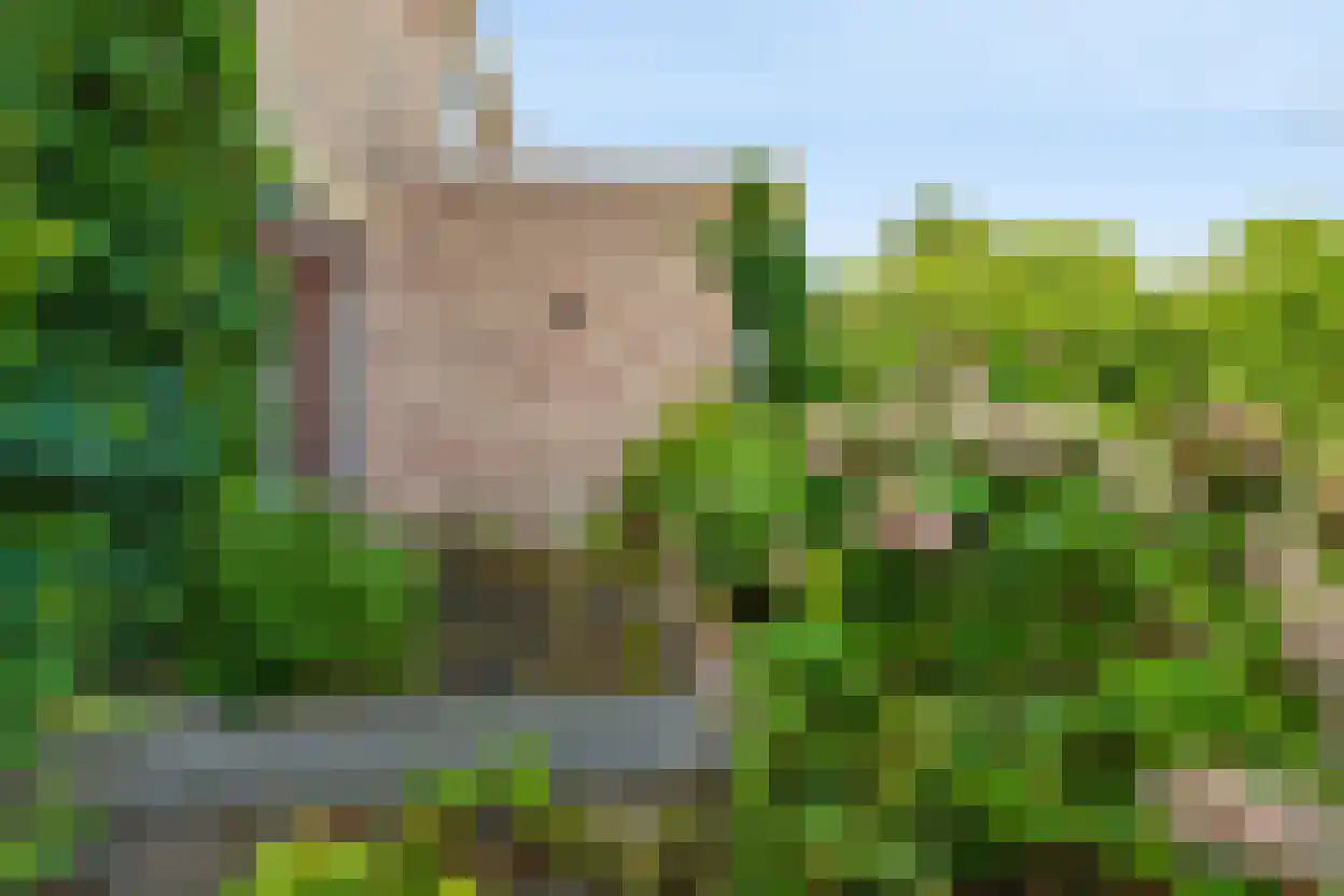 Vondellaan 93 Zevenaar thumbnail 38