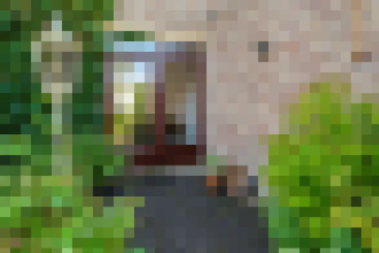 Vondellaan 93 Zevenaar thumbnail 39
