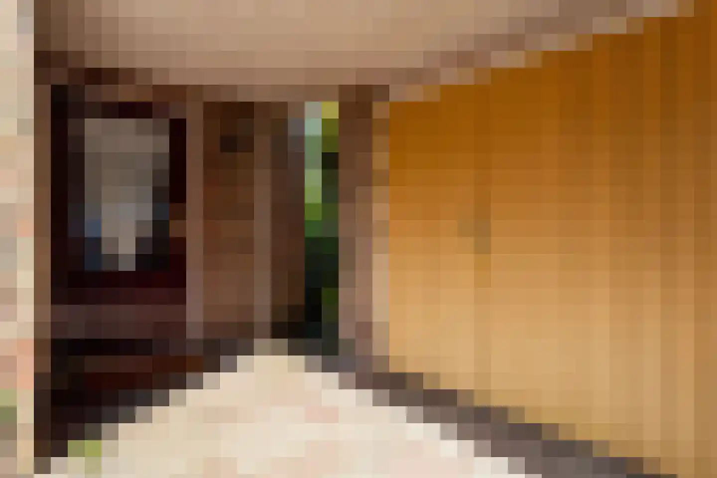 Vondellaan 93 Zevenaar thumbnail 6