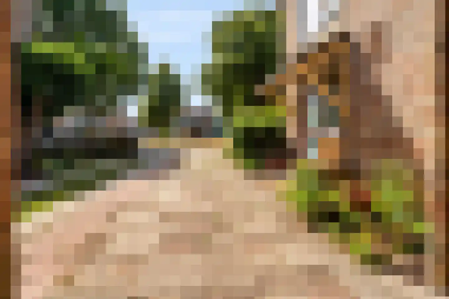 Vondellaan 93 Zevenaar thumbnail 7