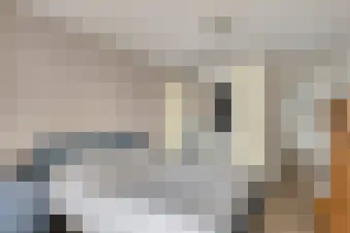 Vondellaan 94 Veenendaal thumbnail 13