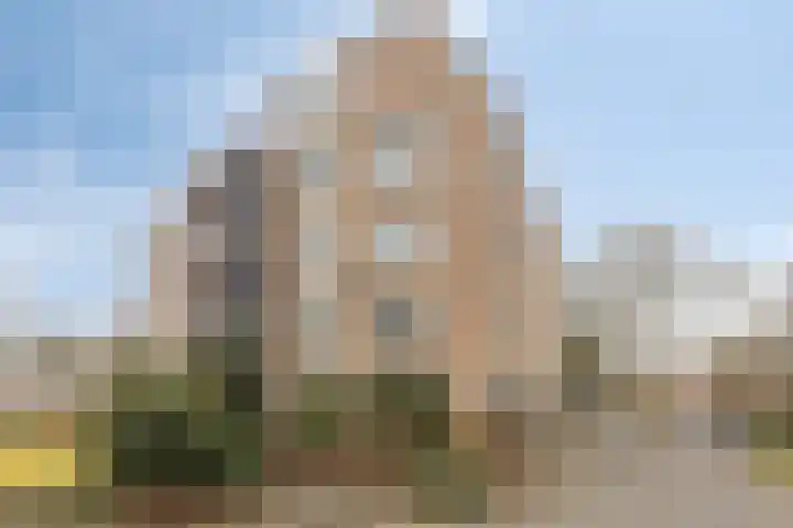 Vondellaan 94 Veenendaal thumbnail 24