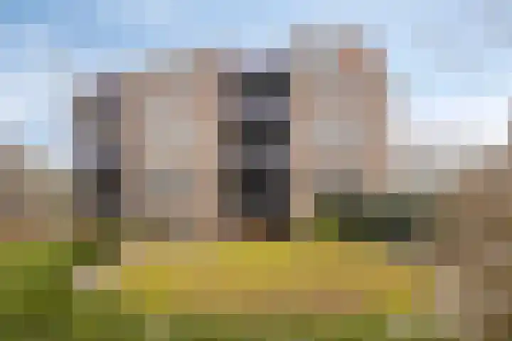 Vondellaan 94 Veenendaal thumbnail 25