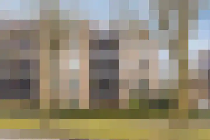 Vondellaan 94 Veenendaal thumbnail 26