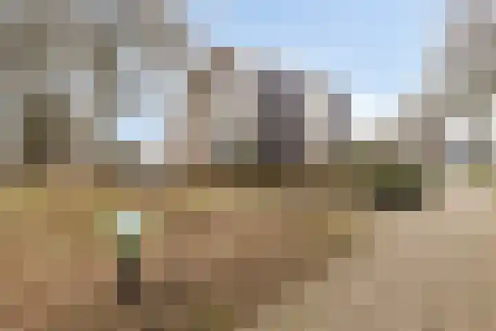 Vondellaan 94 Veenendaal thumbnail 28