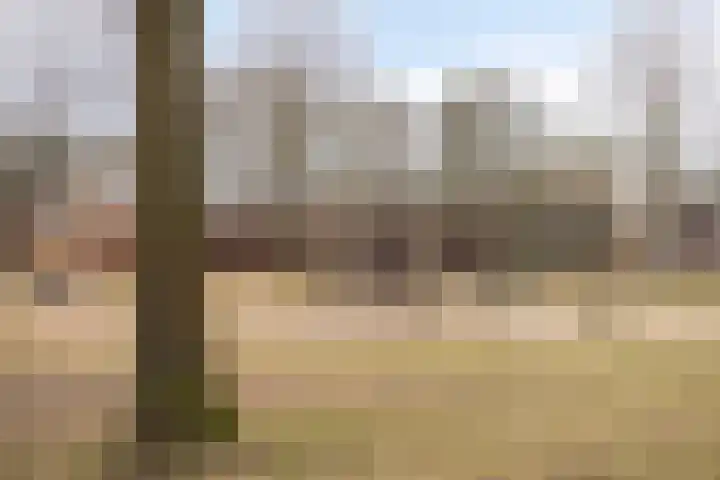 Vondellaan 94 Veenendaal thumbnail 30