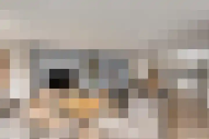 Vondellaan 94 Veenendaal thumbnail 5