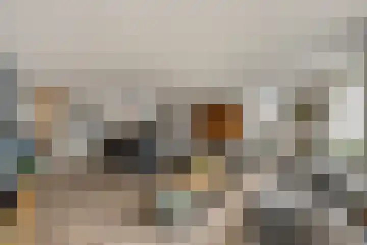 Vondellaan 94 Veenendaal thumbnail 6