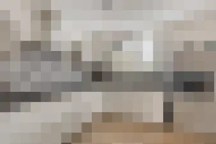 Vondellaan 94 Veenendaal thumbnail 8