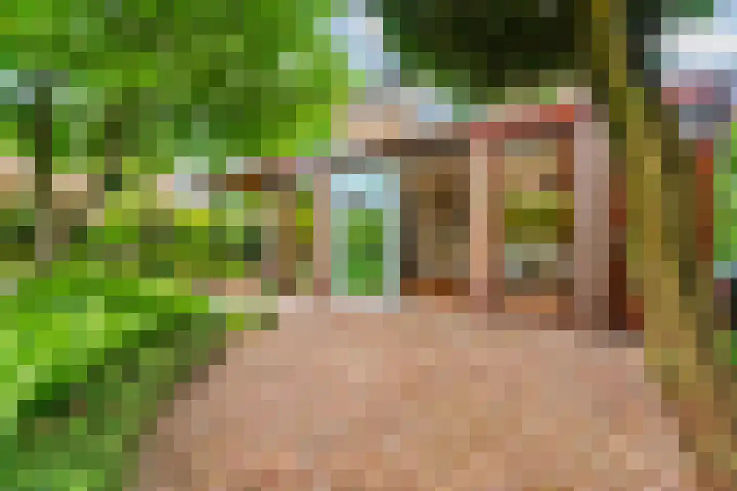Vondellaan 95 Zevenaar thumbnail 54