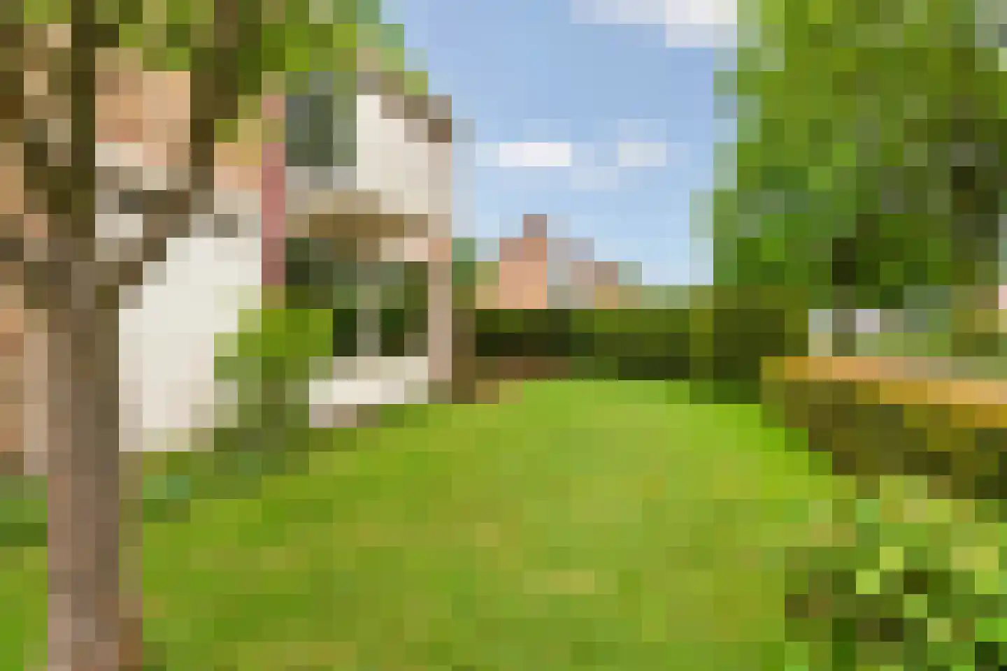 Vondellaan 95 Zevenaar thumbnail 62