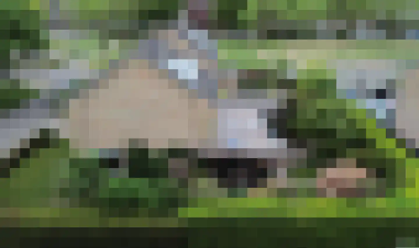 Vondellaan 95 Zevenaar thumbnail 68