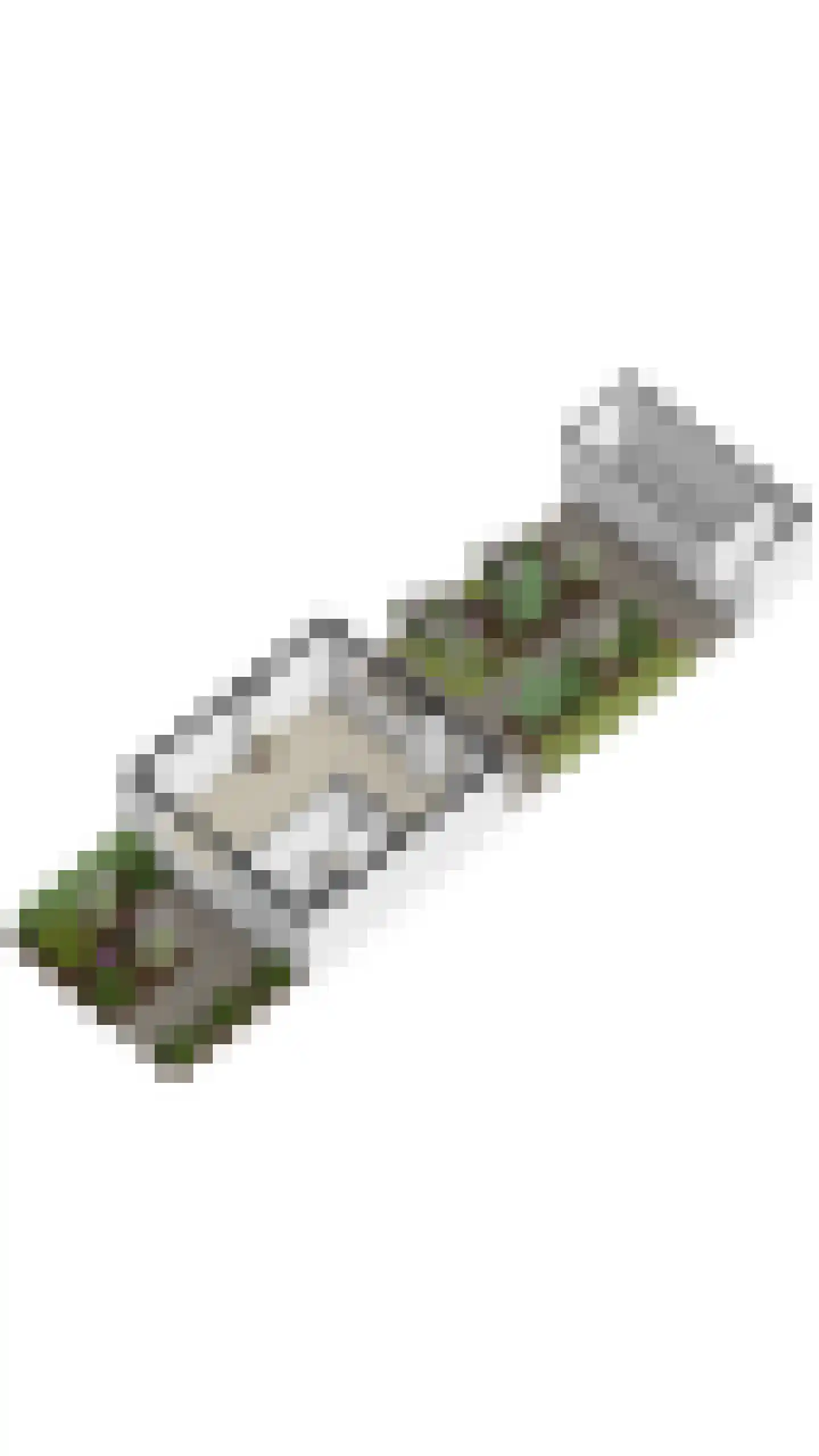 Vondellaan 96 Oosterhout thumbnail 38