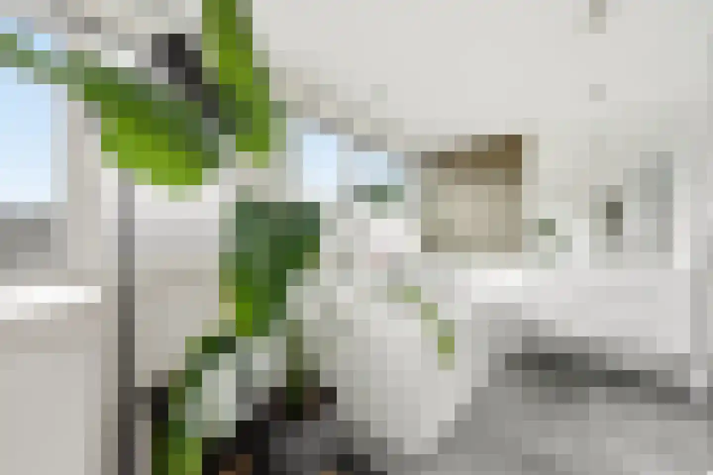 Vondellaan 99 Alblasserdam thumbnail 40