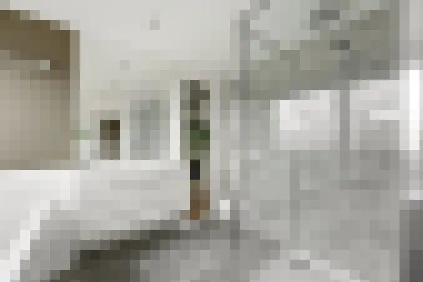 Vondellaan 99 Alblasserdam thumbnail 41