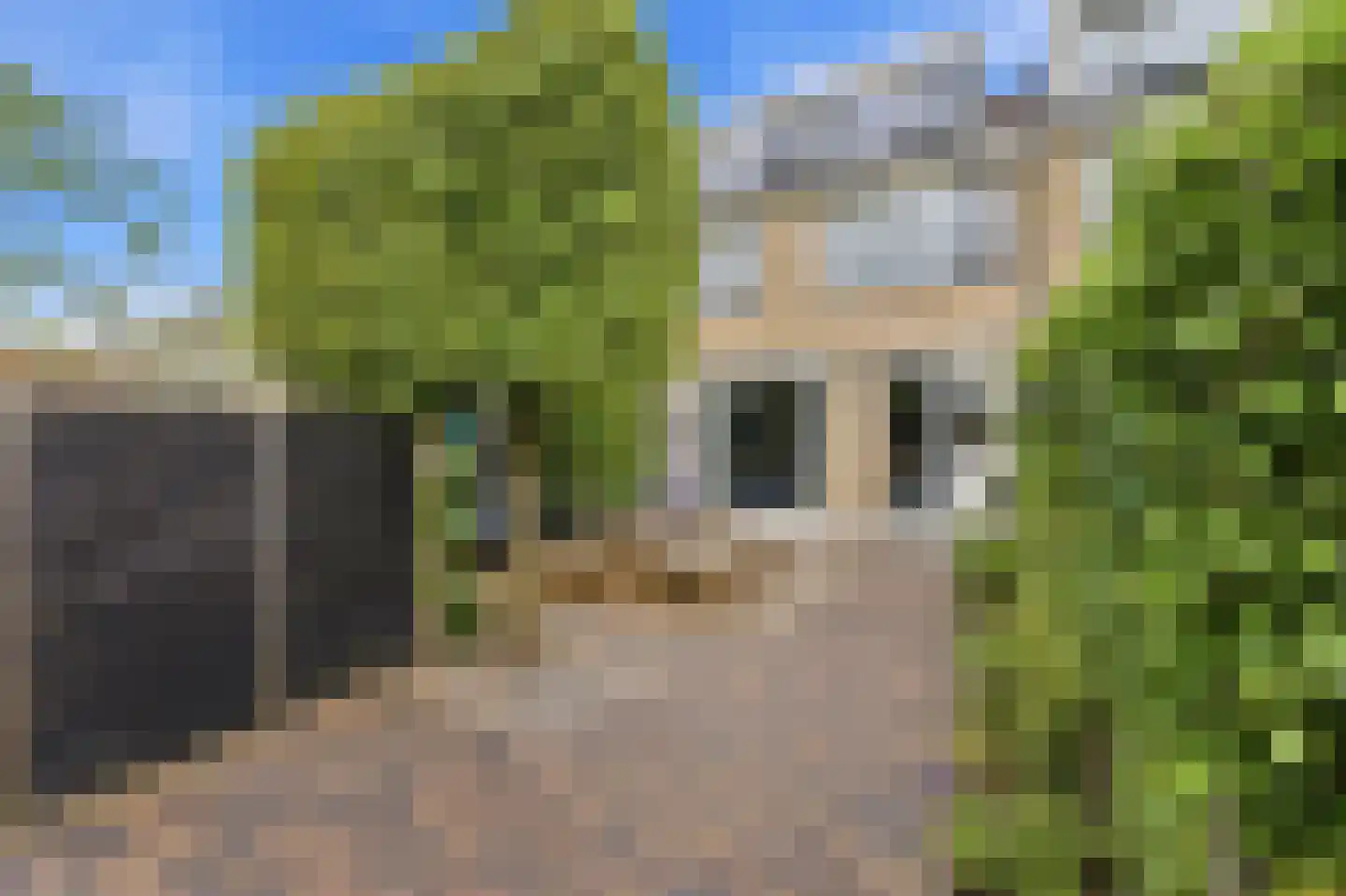 Vondellaan 99 Alblasserdam thumbnail 48