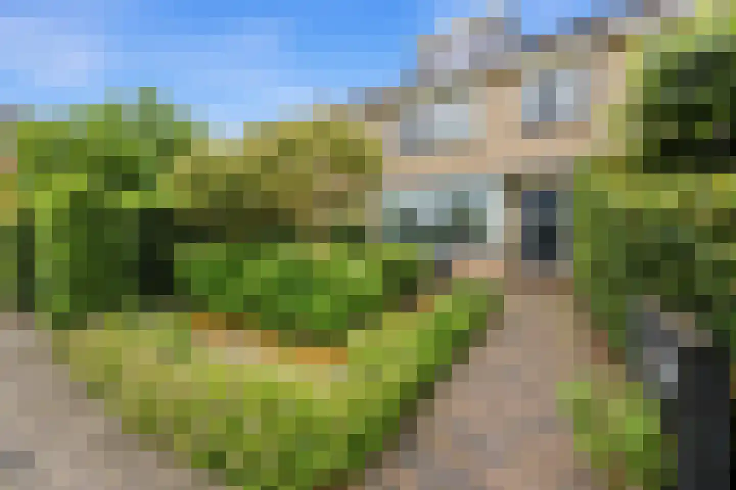 Vondellaan 99 Alblasserdam thumbnail 52