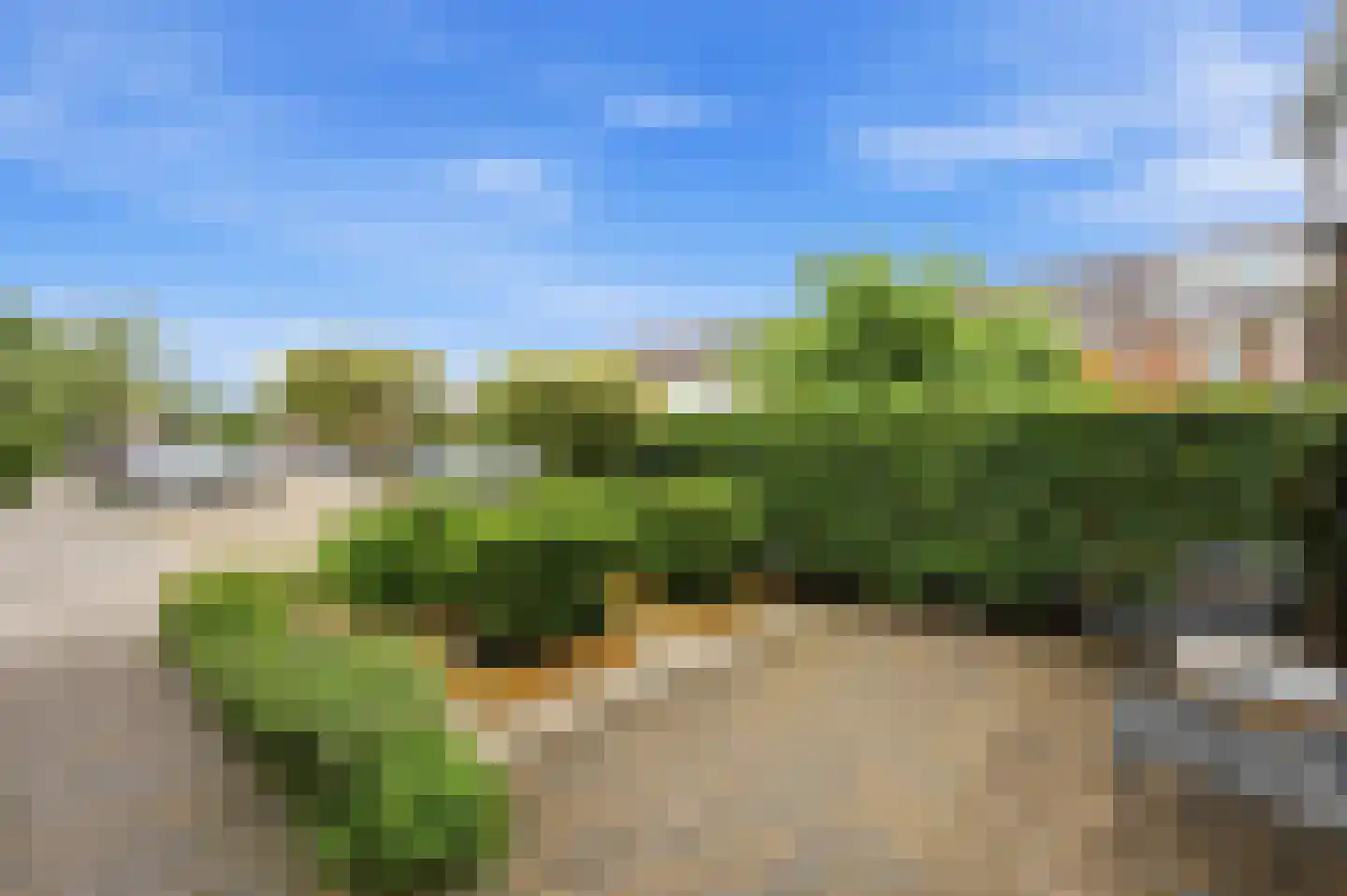 Vondellaan 99 Alblasserdam thumbnail 53