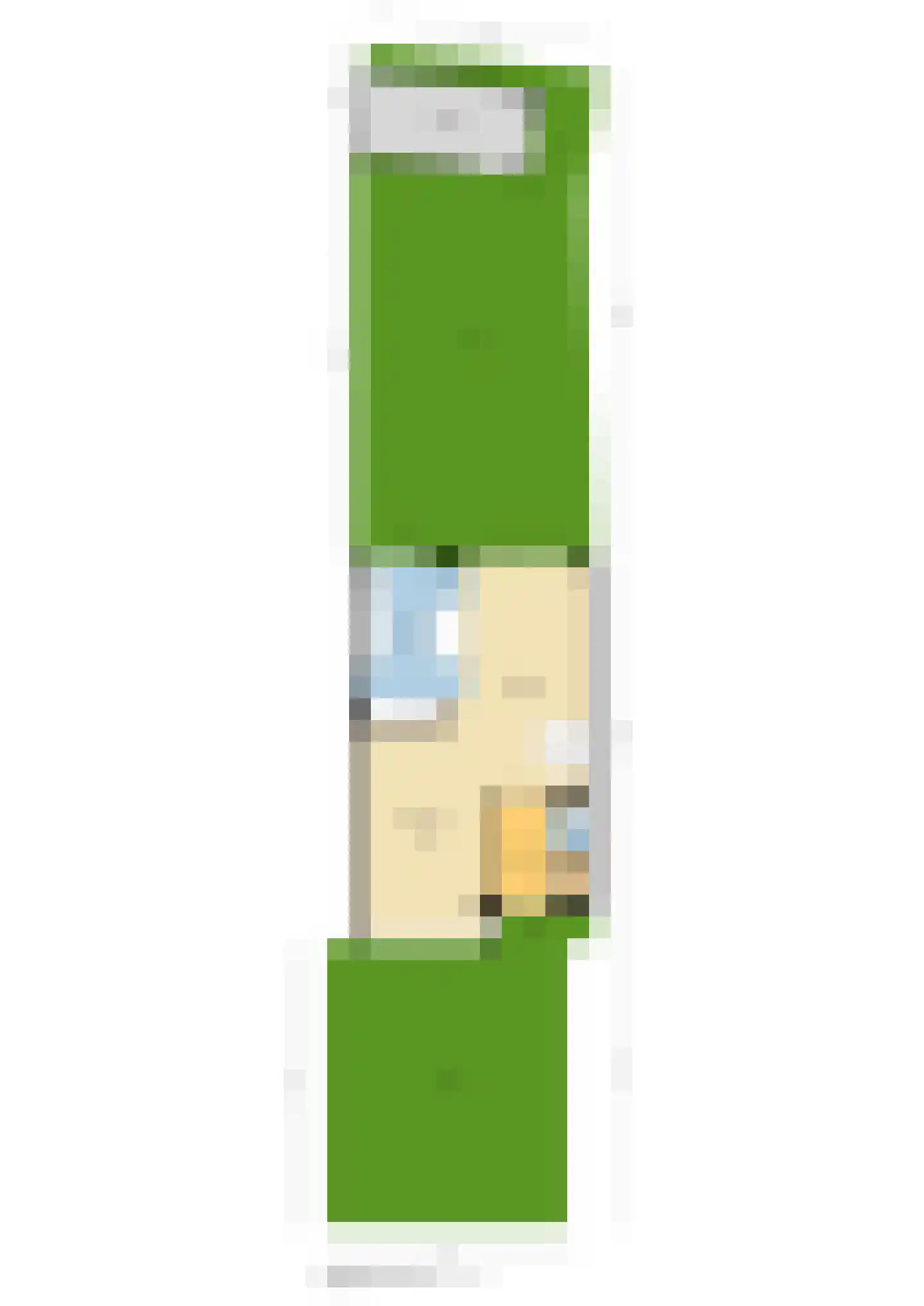 Vondellaan 99 Alblasserdam thumbnail 67