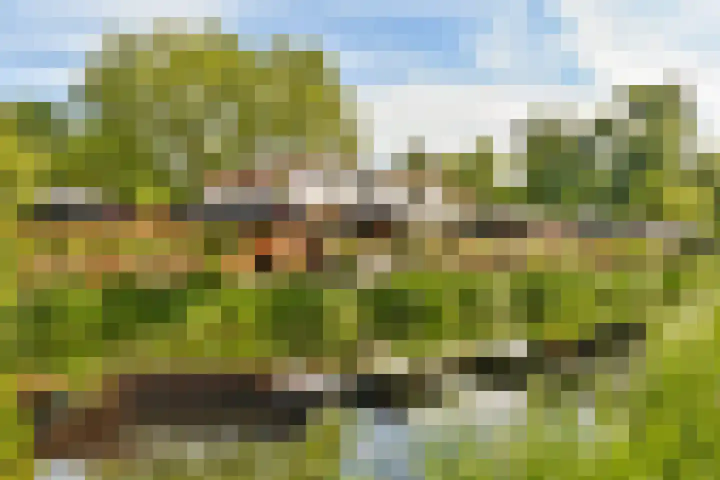 Vondelpark 20 Assendelft thumbnail 32