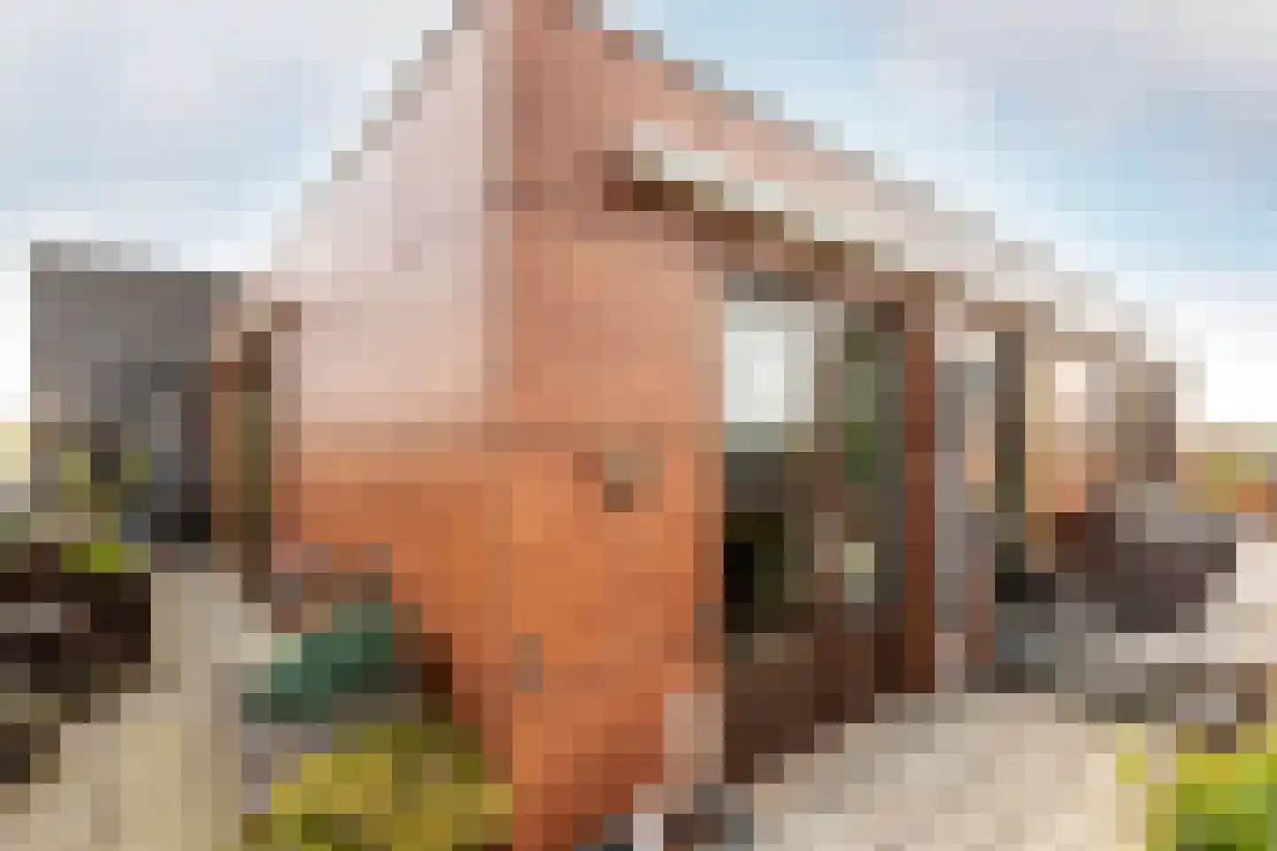 Vondelpark 54 Harderwijk thumbnail 36
