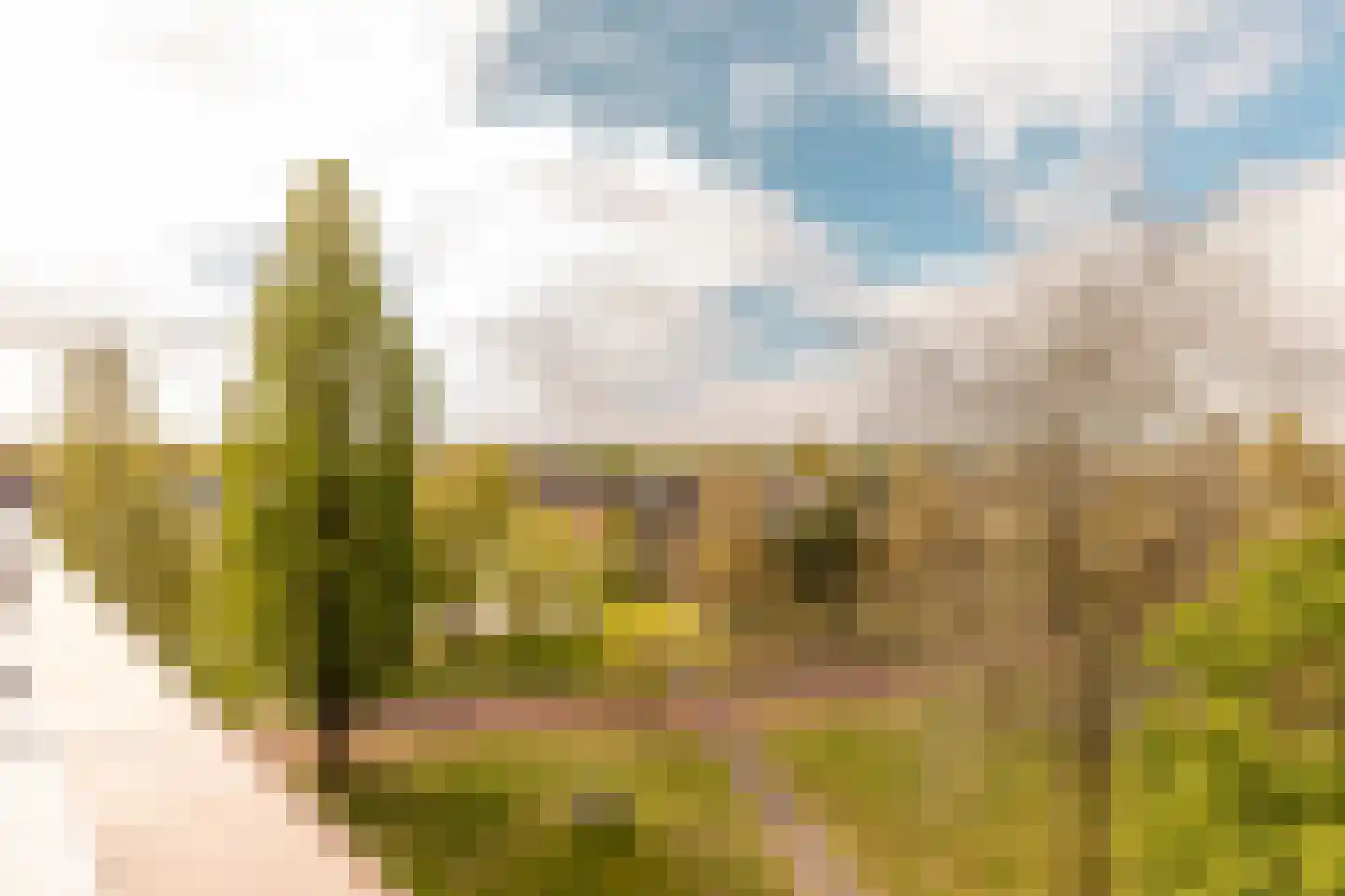 Vondelpark 54 Harderwijk thumbnail 46