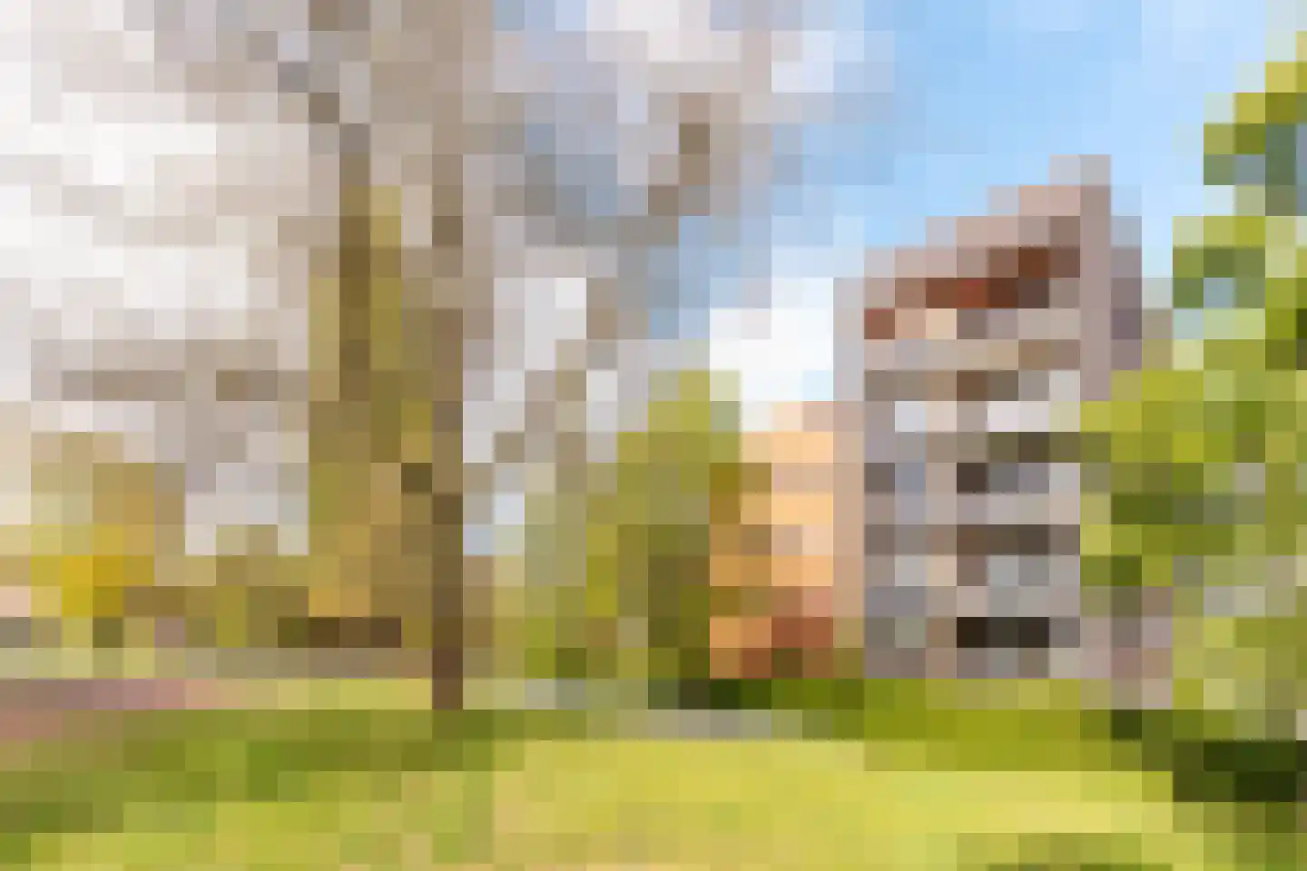 Vondelpark 54 Harderwijk thumbnail 51