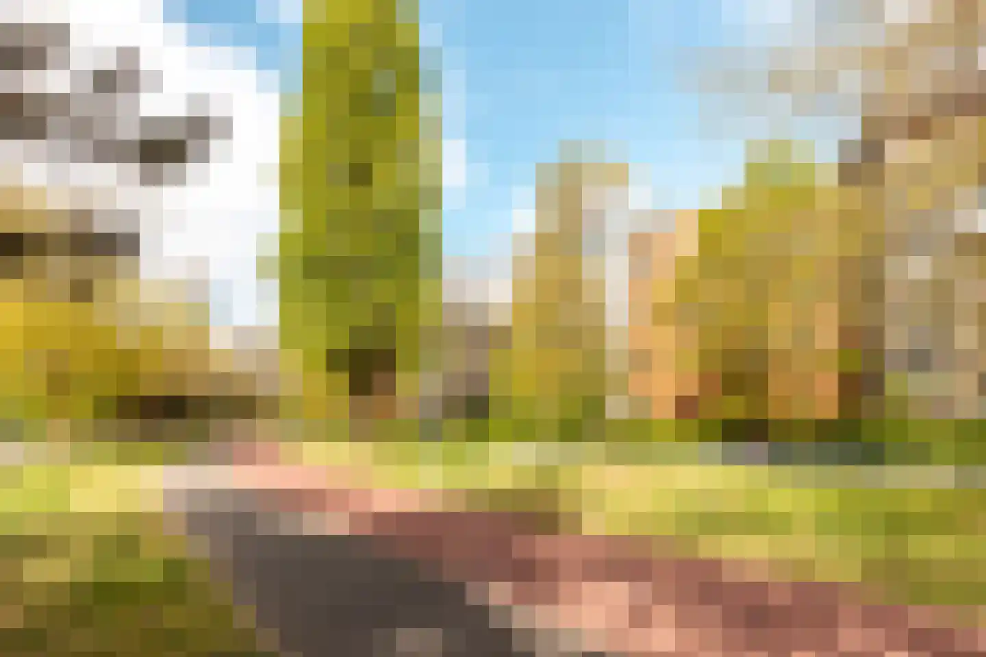 Vondelpark 54 Harderwijk thumbnail 52