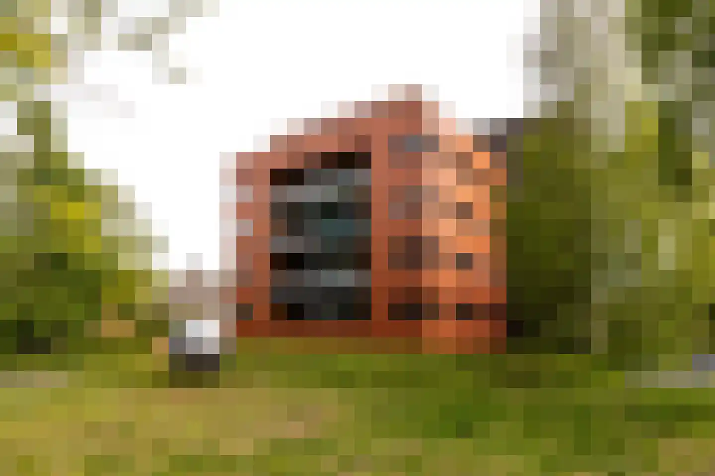 Vondelpark 54 Harderwijk thumbnail 53