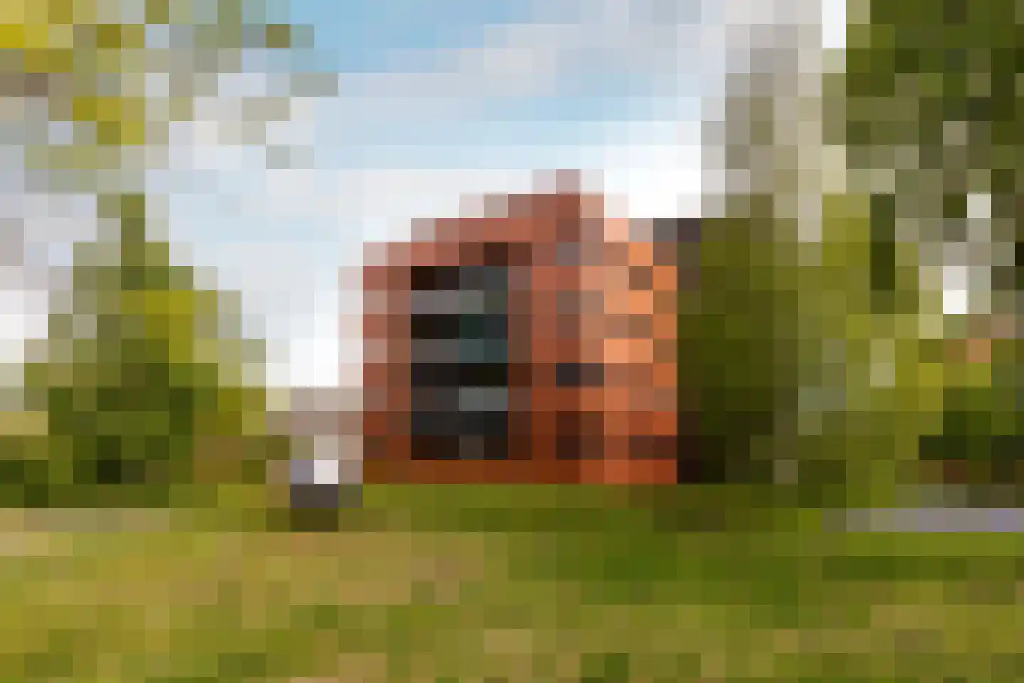 Vondelpark 54 Harderwijk thumbnail 54