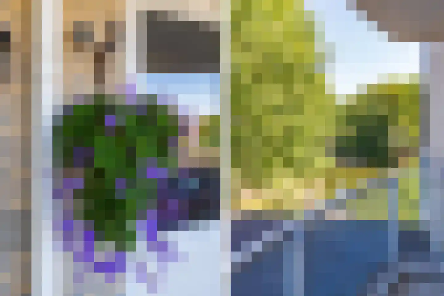 Vondelstaete 532 Alkmaar thumbnail 37