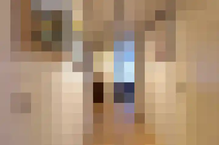 Vondelstaete 533 Alkmaar thumbnail 13